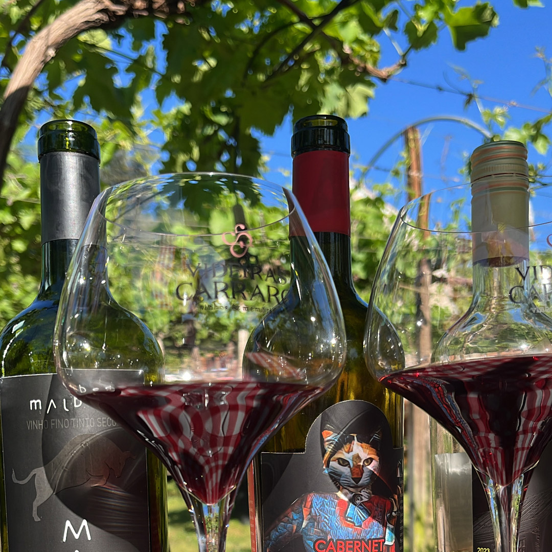 Experi&ecirc;ncia &ndash; Degusta&ccedil;&atilde;o Interna &ndash; 6 r&oacute;tulos