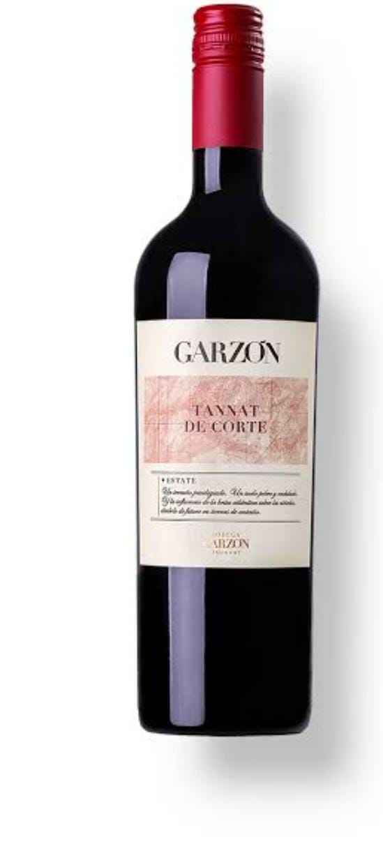 Garzon Corte - 2021 - Tannat