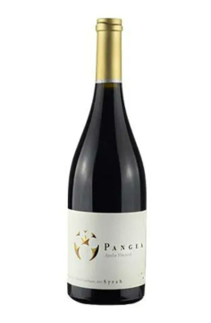 Pangea Apalta - Vineyard - Syrah 